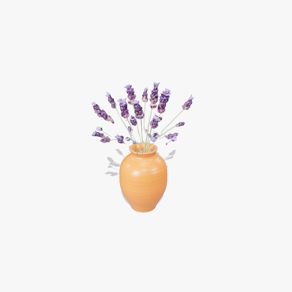 Terracotta Vase with Lavender Model Pack